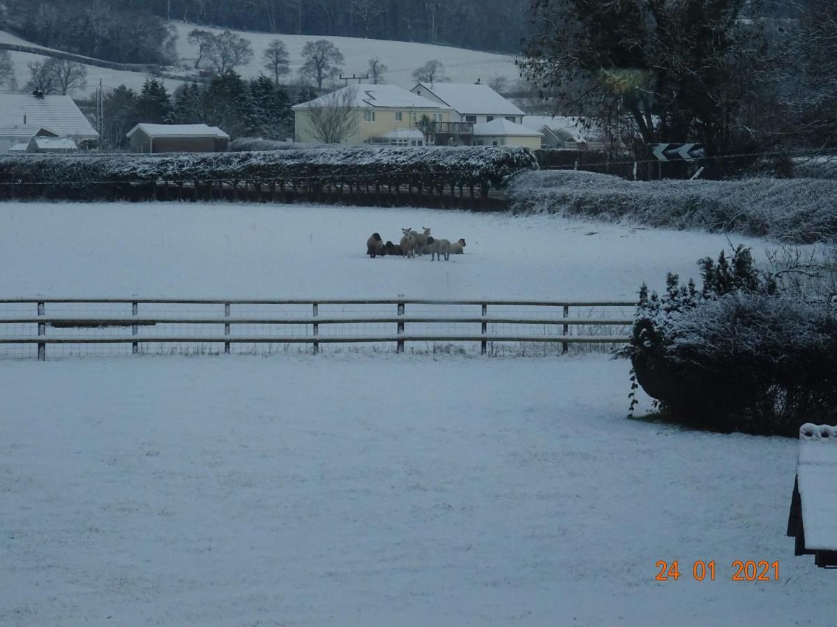 Red Kite Barn Villa Ammanford Eksteriør bilde